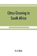 Citrus growing in South Africa, oranges, lemons, naartjes, etc