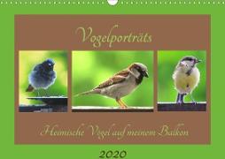 Vogelporträts - Heimische Vögel auf meinem Balkon (Wandkalender 2020 DIN A3 quer)