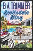 Scottsdale Sting: a fun, romantic, thrilling, adventure