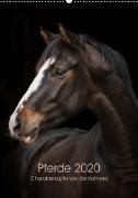 Pferde 2020 - Charakterköpfe vor der Kamera (Wandkalender 2020 DIN A2 hoch)