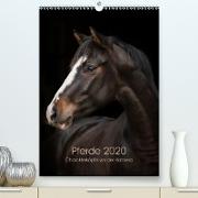 Pferde 2020 - Charakterköpfe vor der Kamera (Premium, hochwertiger DIN A2 Wandkalender 2020, Kunstdruck in Hochglanz)
