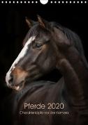 Pferde 2020 - Charakterköpfe vor der Kamera (Wandkalender 2020 DIN A4 hoch)
