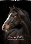 Pferde 2020 - Charakterköpfe vor der Kamera (Wandkalender 2020 DIN A3 hoch)