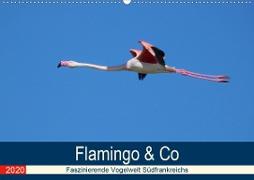 Flamingo & Co - Faszinierende Vogelwelt Südfrankreichs (Wandkalender 2020 DIN A2 quer)
