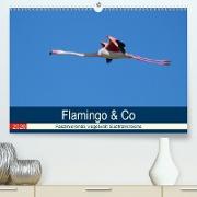 Flamingo & Co - Faszinierende Vogelwelt Südfrankreichs (Premium, hochwertiger DIN A2 Wandkalender 2020, Kunstdruck in Hochglanz)