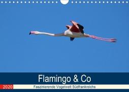 Flamingo & Co - Faszinierende Vogelwelt Südfrankreichs (Wandkalender 2020 DIN A4 quer)