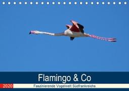 Flamingo & Co - Faszinierende Vogelwelt Südfrankreichs (Tischkalender 2020 DIN A5 quer)