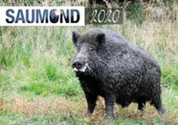 Saumond Wandkalender 2020