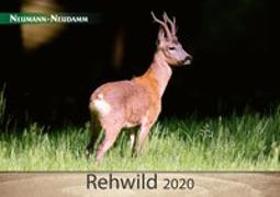 Rehwild 2020