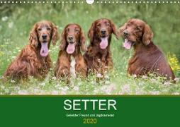 Setter - Geliebter Freund und Jagdkamerad (Wandkalender 2020 DIN A3 quer)