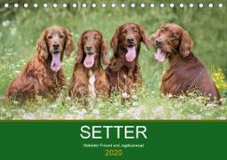 Setter - Geliebter Freund und Jagdkamerad (Tischkalender 2020 DIN A5 quer)