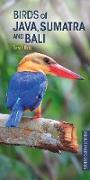 Birds of Java, Sumatra and Bali