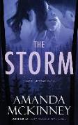 The Storm: A Berry Springs Novel