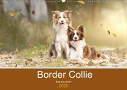 Border Collie - Bunt und clever! (Wandkalender 2020 DIN A2 quer)