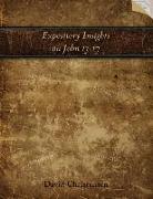 Expository Insights on John 13-17: A Workbook for Expository Preaching