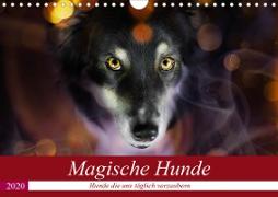 Magische Hunde - Hunde die uns täglich verzaubern (Wandkalender 2020 DIN A4 quer)