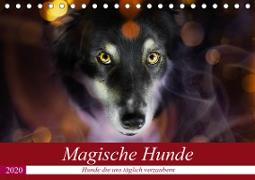 Magische Hunde - Hunde die uns täglich verzaubern (Tischkalender 2020 DIN A5 quer)