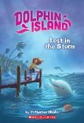 Lost in the Storm (Dolphin Island #2): Volume 2