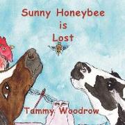 Sunny Honeybee is Lost