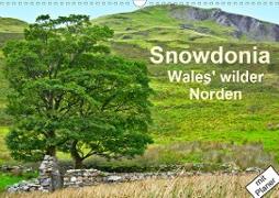 Snowdonia - Wales' wilder Norden (Wandkalender 2020 DIN A3 quer)