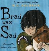 Brad was Sad: Emotional intelligence storybook. Choose your outlook and own your feelings