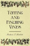 Topping and Pinching Vines