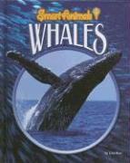 Whales