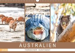 Australien, tierischer Kontinent (Wandkalender 2020 DIN A3 quer)