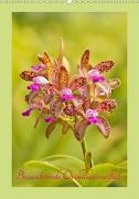 Bezaubernde Orchideenvielfalt (Wandkalender 2020 DIN A2 hoch)