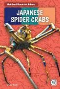 Japanese Spider Crabs