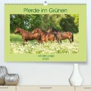 Pferde im Grünen (Premium, hochwertiger DIN A2 Wandkalender 2020, Kunstdruck in Hochglanz)