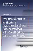 Evolution Mechanism on Structural Characteristics of Lead-Contaminated Soil in the Solidification/Stabilization Process