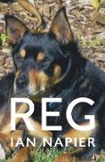 Reg