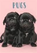 Pugs A5 Diary 2020