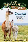 Llamas and the Andes