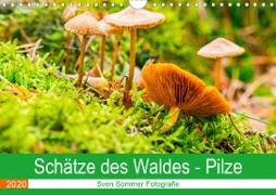 Schätze des Waldes - Pilze (Wandkalender 2020 DIN A4 quer)
