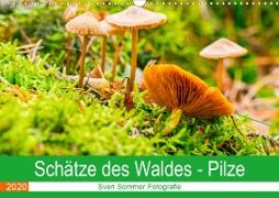 Schätze des Waldes - Pilze (Wandkalender 2020 DIN A3 quer)