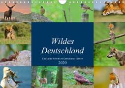 Wildes Deutschland (Wandkalender 2020 DIN A4 quer)