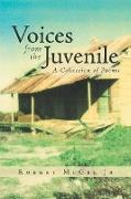 Voices from the Juvenile