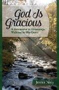 God Is Gracious: A Devotional To Encourage Walking In His Grace