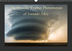 The Extreme Weather Phenomenon of Tornado Alley (Wall Calendar 2020 DIN A3 Landscape)