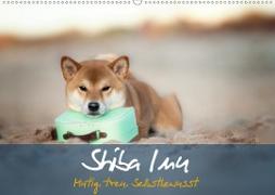 Shiba Inu - mutig, treu, selbstbewusst (Wandkalender 2020 DIN A2 quer)