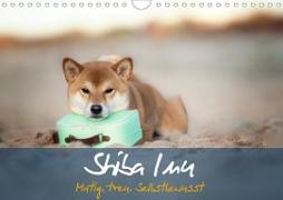 Shiba Inu - mutig, treu, selbstbewusst (Wandkalender 2020 DIN A4 quer)