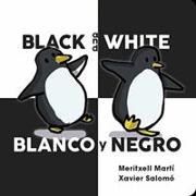 Black and White - Blanco y Negro