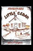 Book: Adventures At Little Cedar