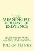 The Meaningful Volume of Existence: An Exploration of the Overlooked Intangible Significance of Phenomena