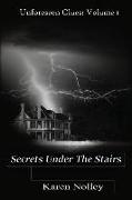 Secrets Under The Stairs