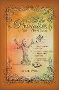 All the Promises: are Yes in Christ Jesus
