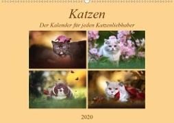 Katzen - Der Kalender für jeden Katzenliebhaber (Wandkalender 2020 DIN A2 quer)