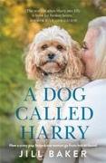 A Dog Called Harry